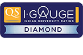 igauge-logo-original (1)